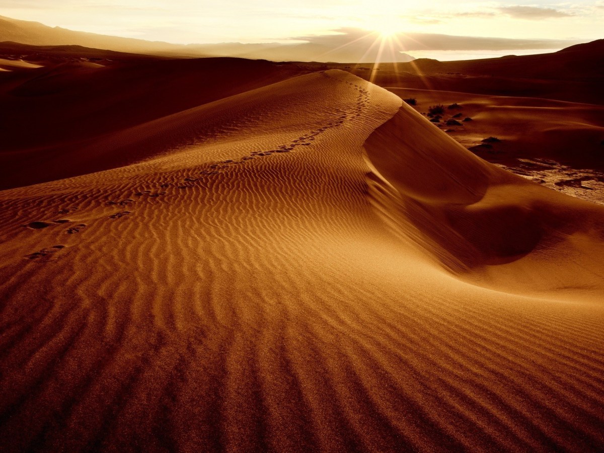 In This Dream I Had of&nbsp;Life