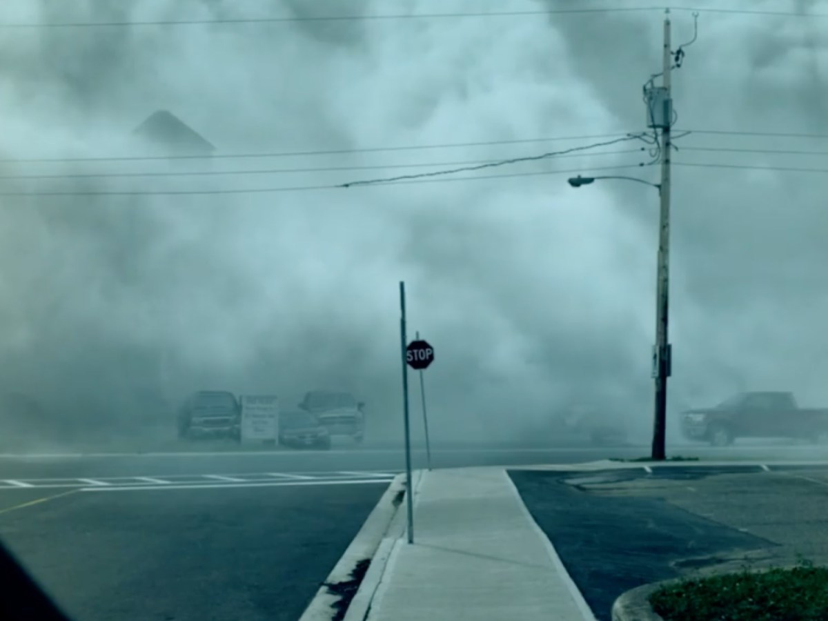 Book Review: The&nbsp;Mist